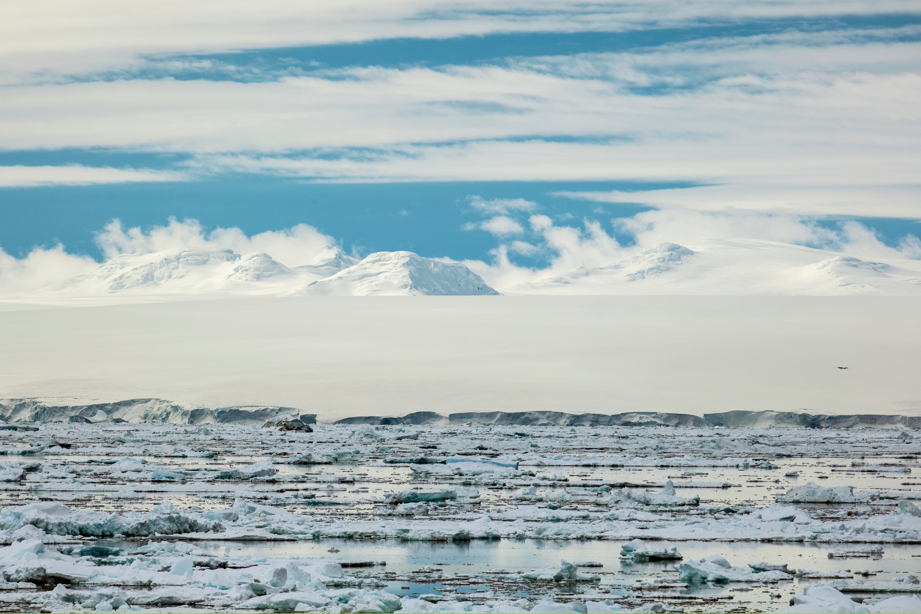 Ice Shelf